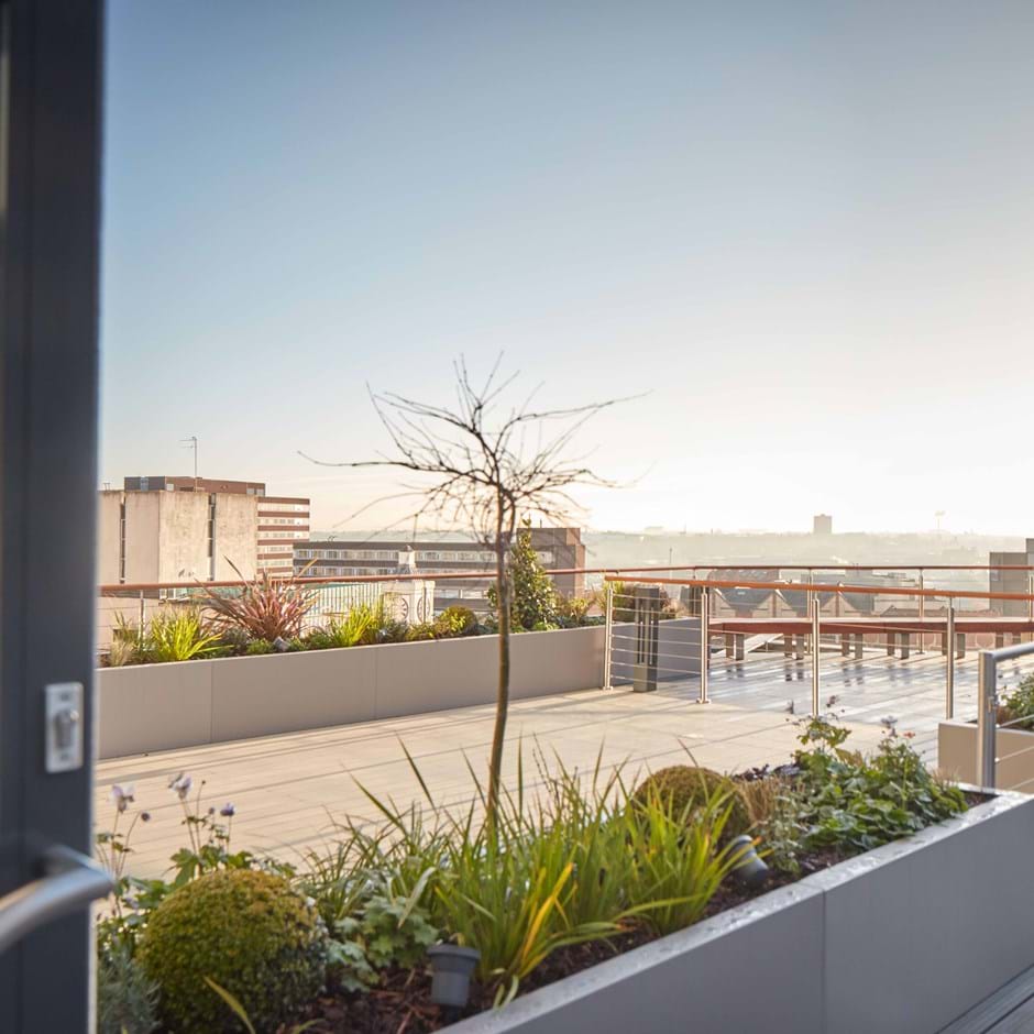 Terrace Views